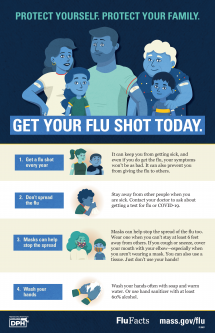 Flu Facts Poster - Multiple Languages